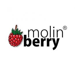 Molinberry Concentrates